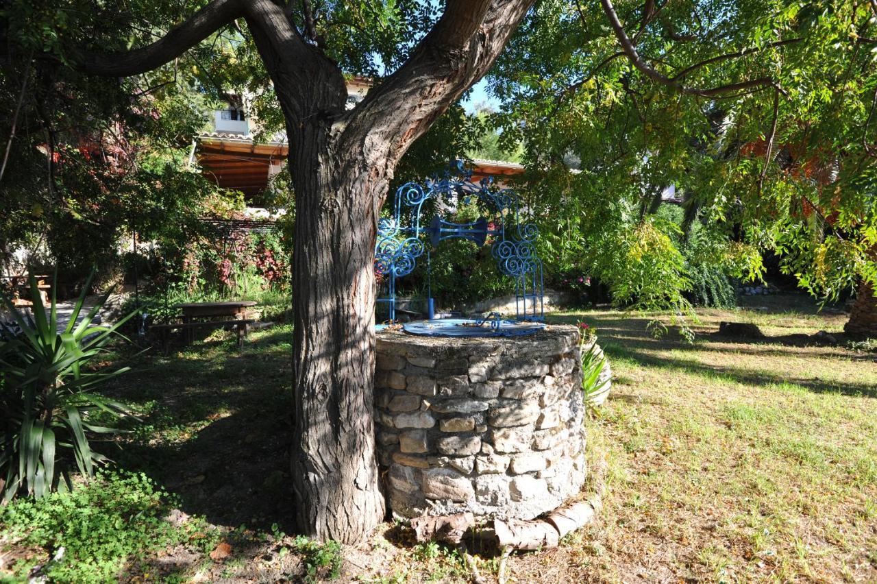 Villa Theodora View Apartments Zeys Agios Georgios Pagon Dış mekan fotoğraf