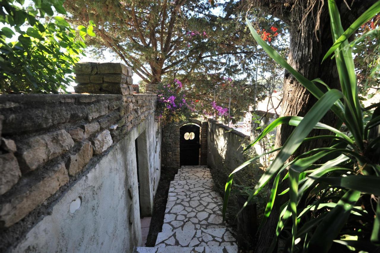 Villa Theodora View Apartments Zeys Agios Georgios Pagon Dış mekan fotoğraf